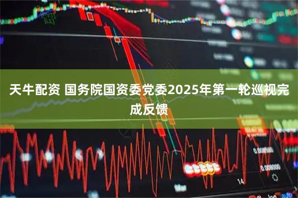 天牛配资 国务院国资委党委2025年第一轮巡视完成反馈