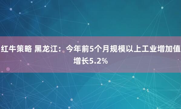 红牛策略 黑龙江：今年前5个月规模以上工业增加值增长5.2%