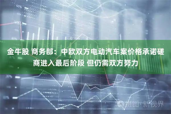 金牛股 商务部：中欧双方电动汽车案价格承诺磋商进入最后阶段 但仍需双方努力